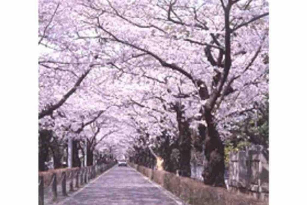 Small Villa Tokyo 渋谷まで2駅10分 青山一丁目駅徒歩3分一軒家ペット歓迎お子様歓迎駐車場あり6人までok Exterior photo
